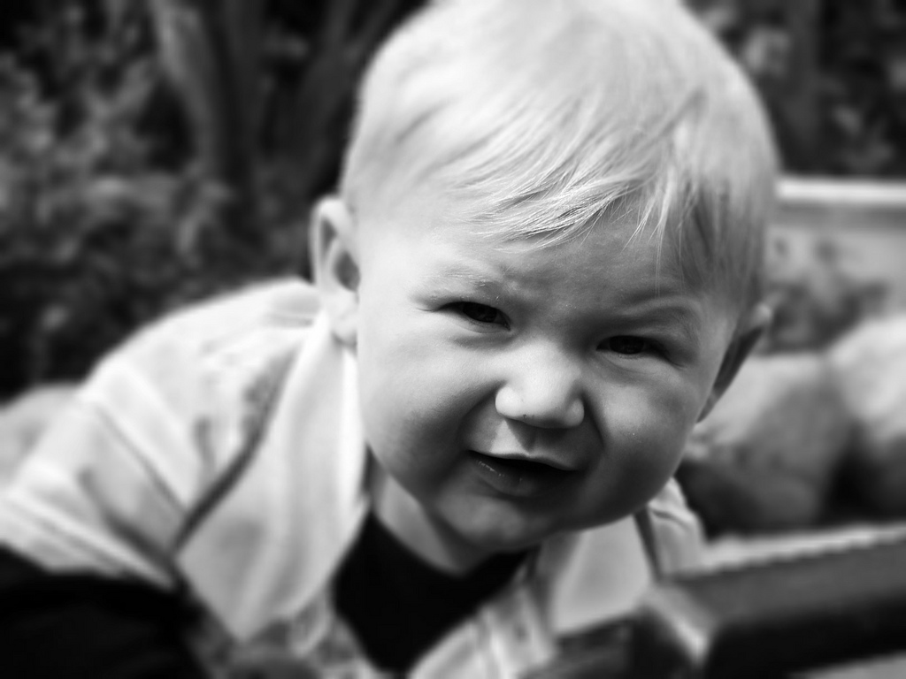 niania elektroniczna