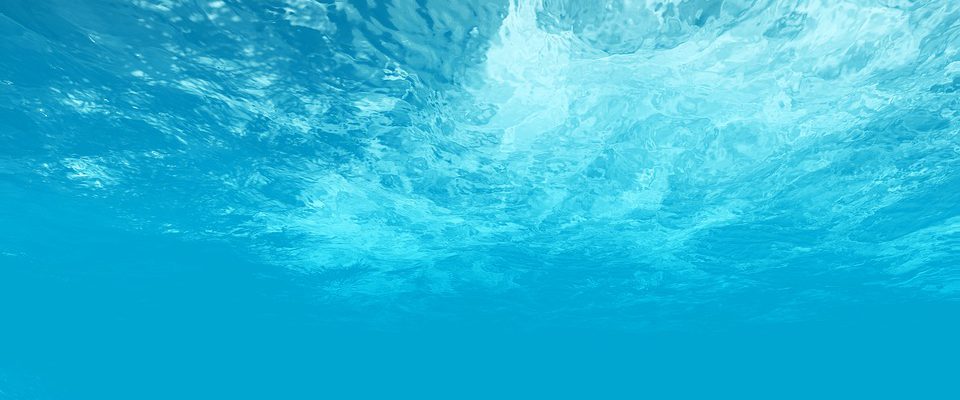 domowa oczyszczalnia ekologiczna