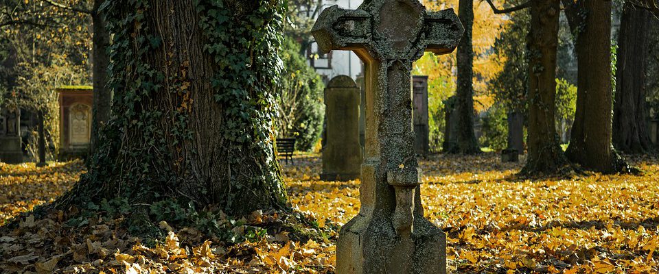 sprzątanie po zmarłych warszawa