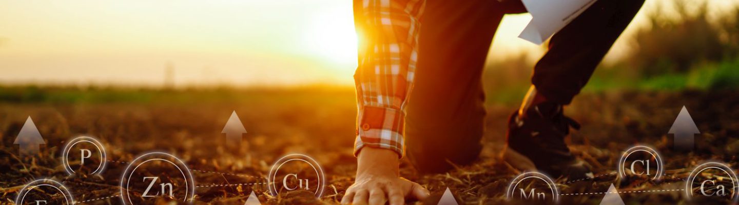 środki ochrony roślin