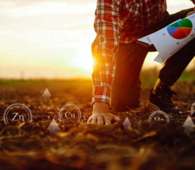 środki ochrony roślin